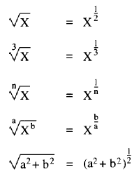 root
