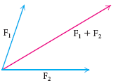 Vectors, Vectors Graphical Representation, Vector Magnitude, Vector