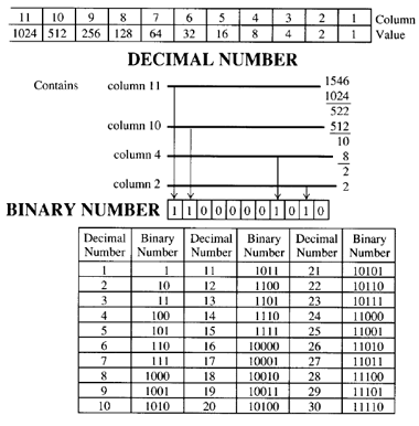 binary number