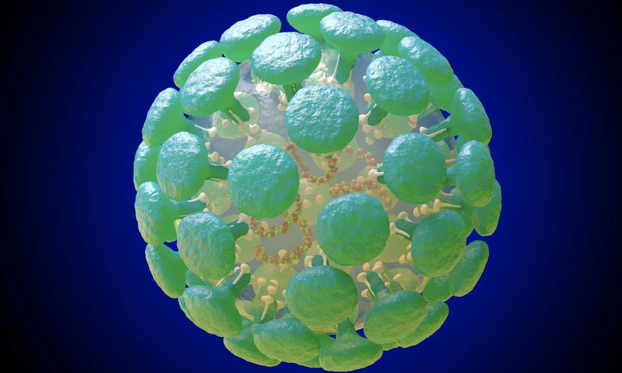 Coronavirus.jpg