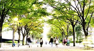 Funding Trees for Health.jpg