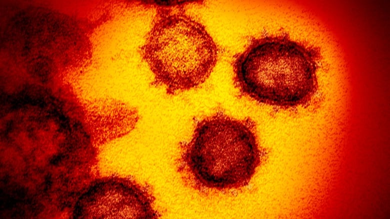 coronavirus-outbreak.jpg