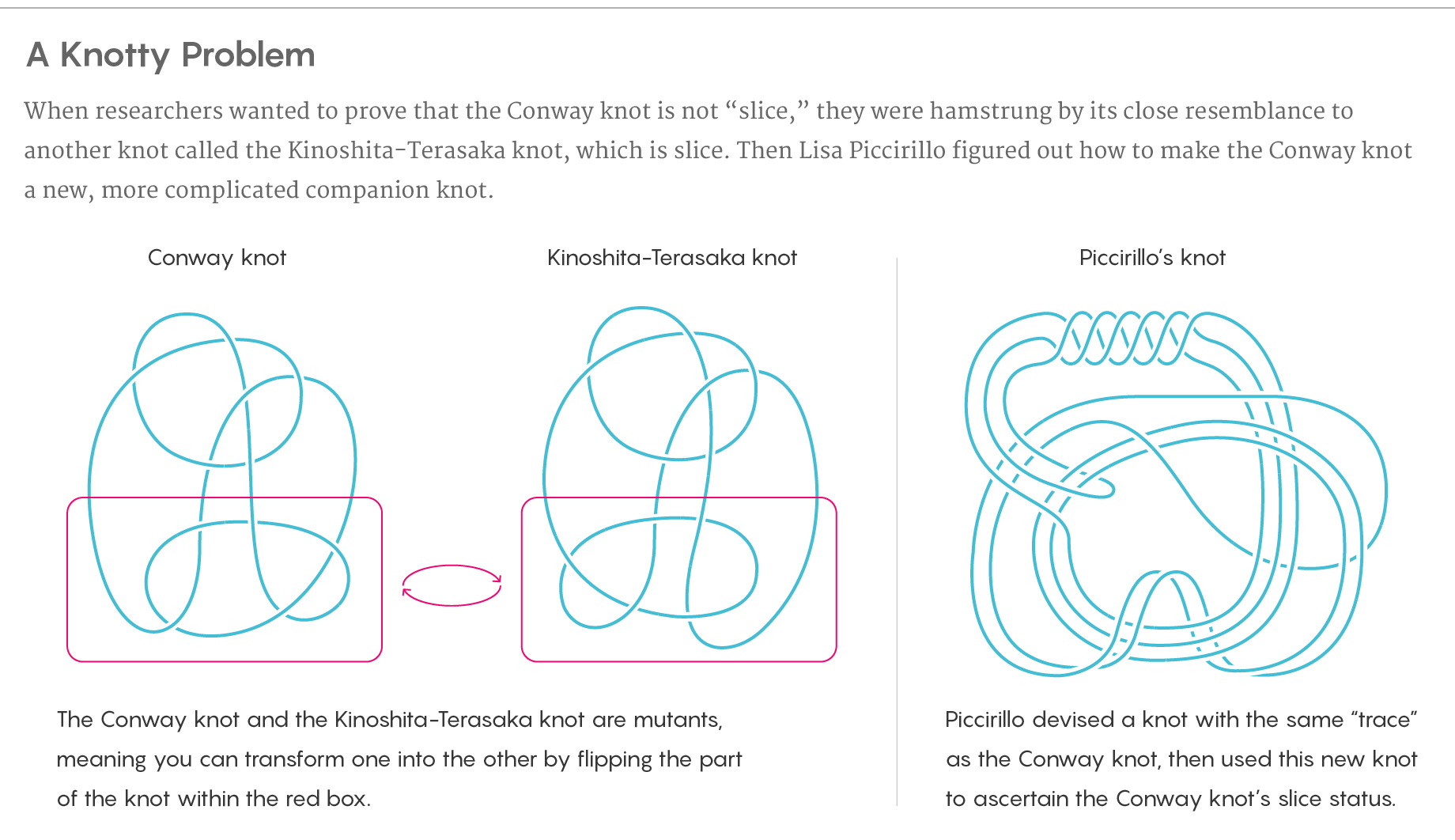 Types of Geometrical Knots.jpg