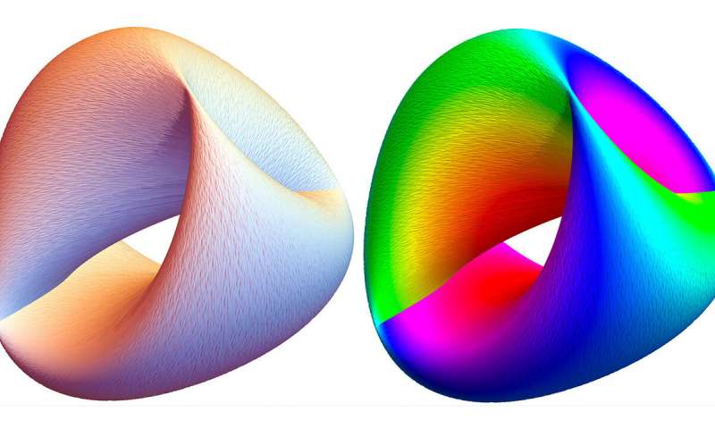 The Hamiltonian flow represented as a donut-like torus....jpg