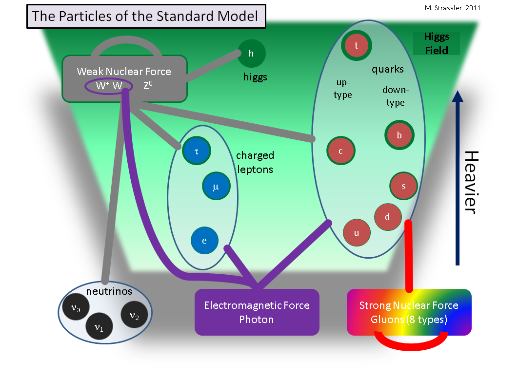 The Particles of the Standard Model.png