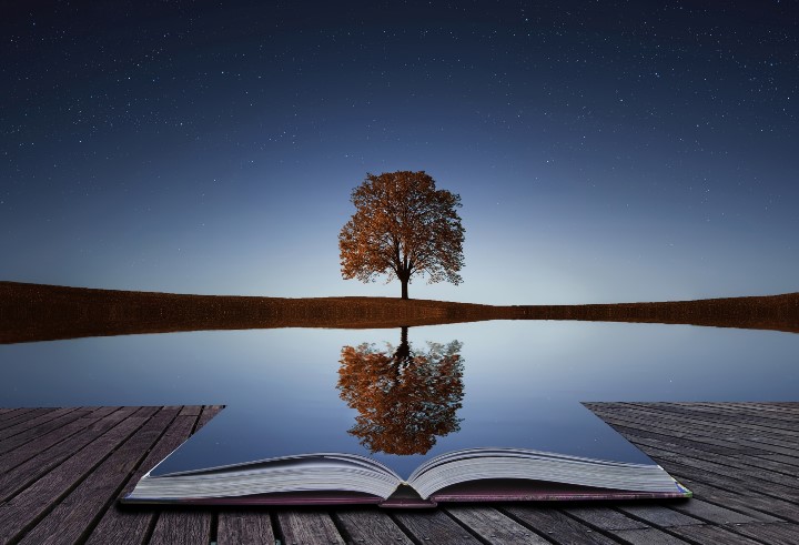 Reflection.jpg