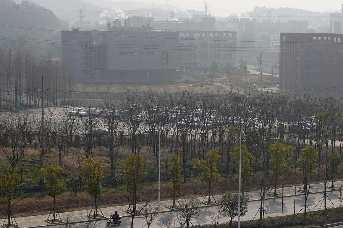 A view of the P4 lab inside the Wuhan Institute of Virology.jpg