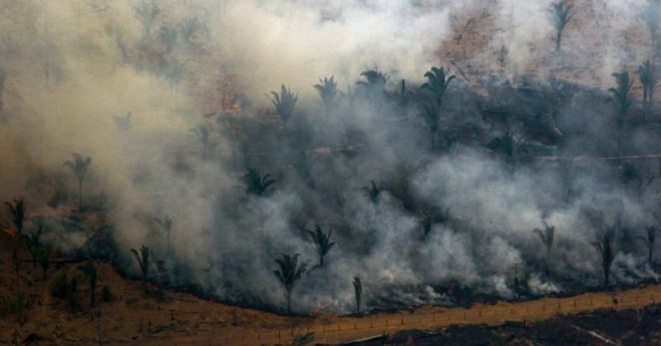 amazon-fires-implications-life-earth_0.jpg