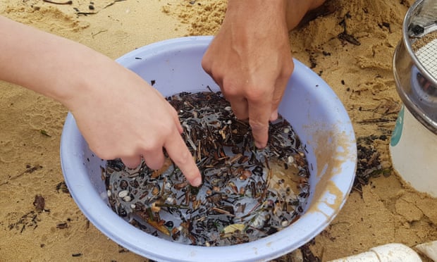 Microplastics and organic matter float in water inside a container....jpg