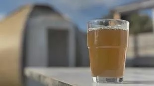 element terre urine .jpg