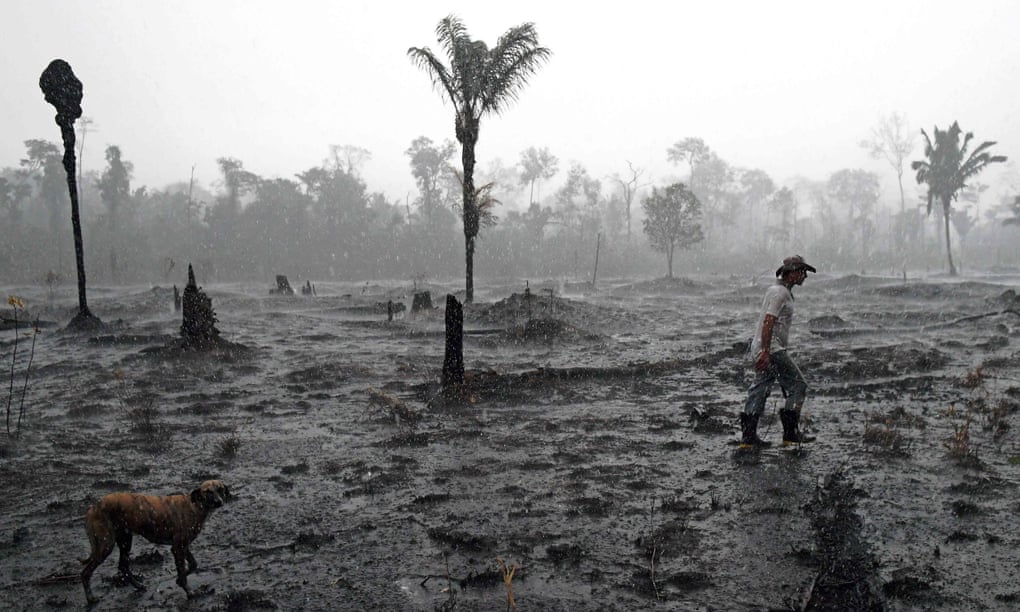 Amazon – historically a great carbon absorber – now releases more carbon than it stores, which adds to, rather helps to reduce, our global climate crisis..jpg