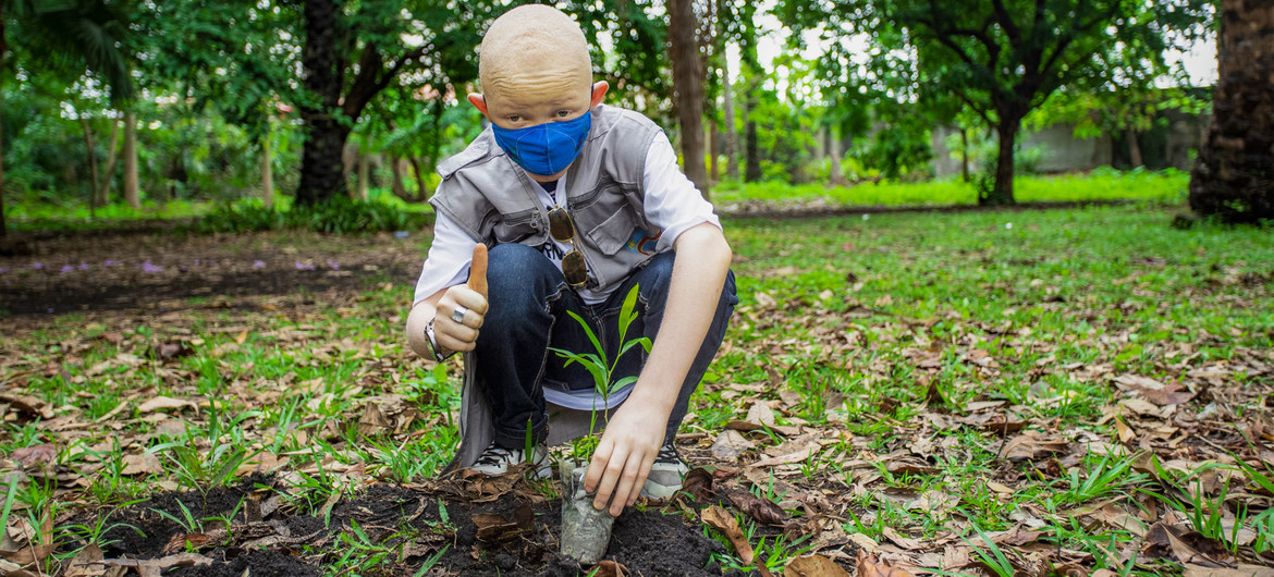 Trees are being planted in the Democratic Republic of the Congo to help fight climate change..jpg