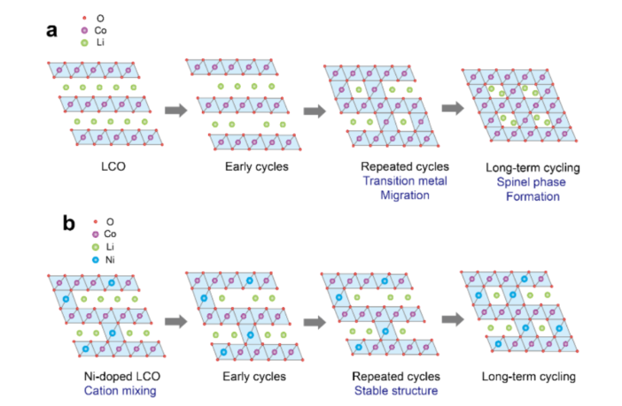 Schematic-diagrams-of-phase-transitions-of-a-LCO-and-b-Ni-doped-LCO-during-high-voltage-cycling-702x459.png