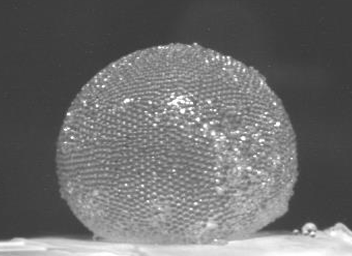 a plastic shell of a gas marble.png