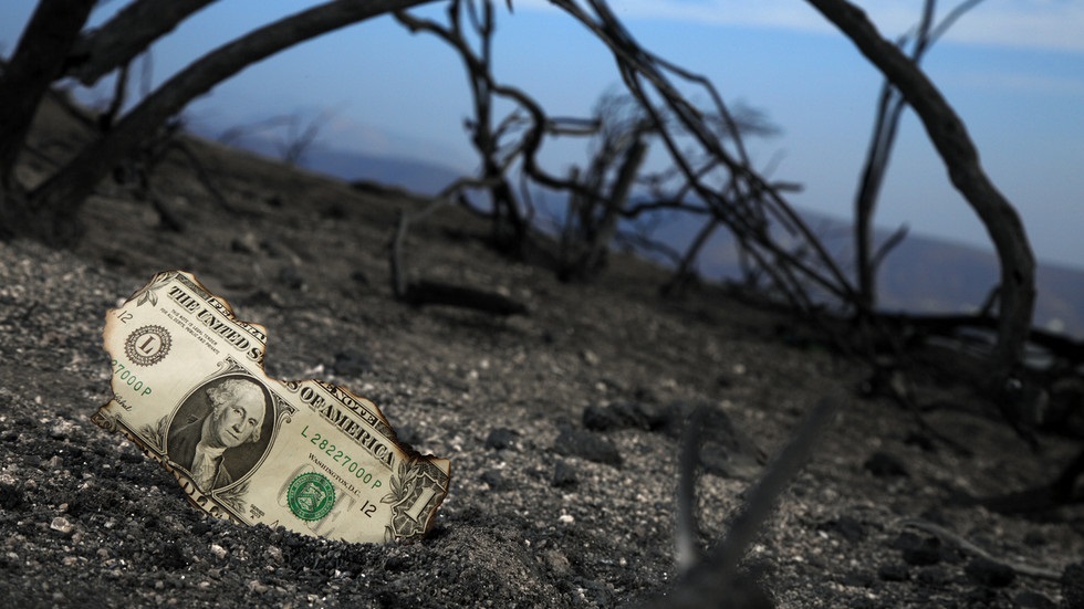 The King Dollar.jpg
