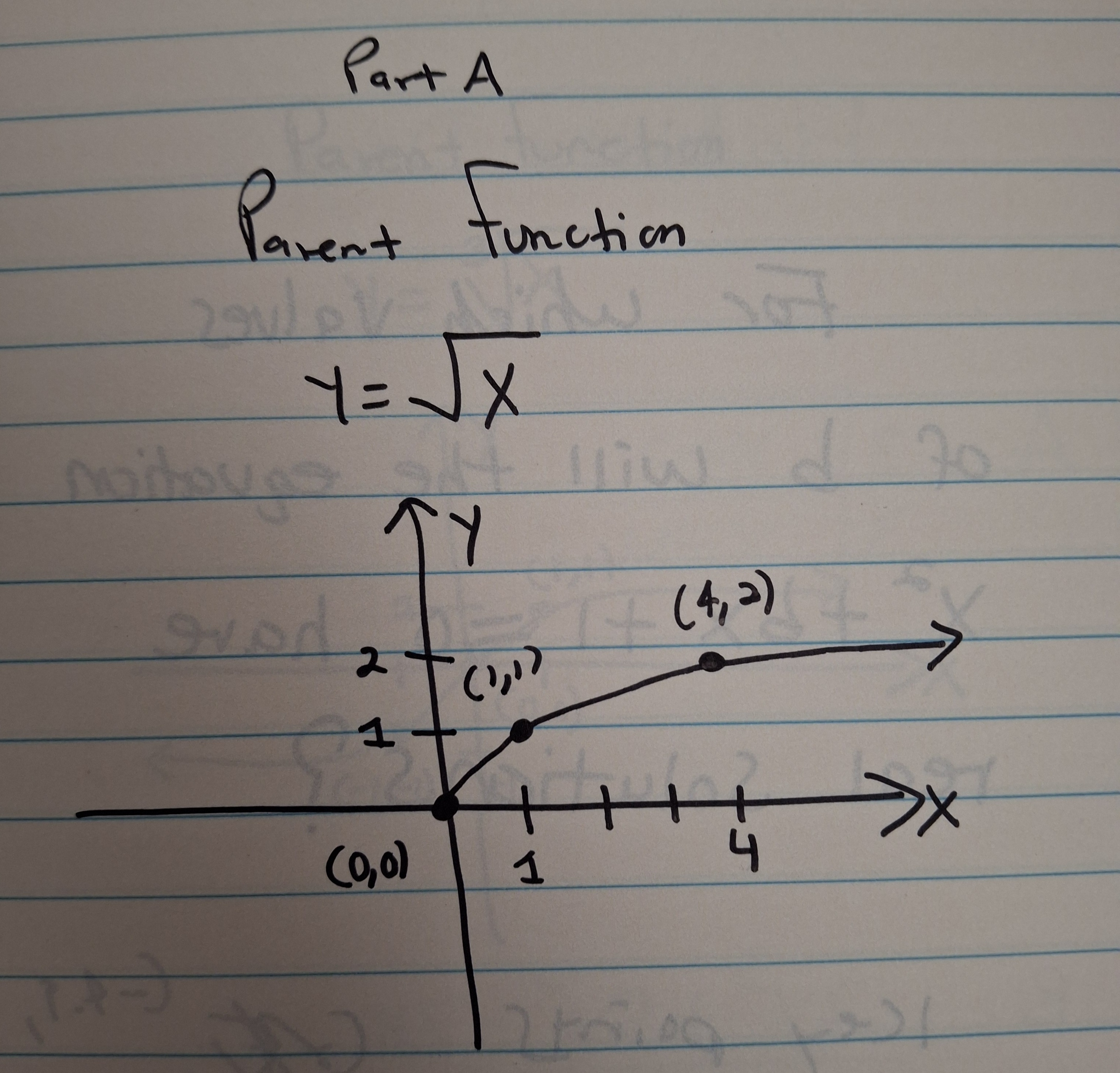 20260912_191253.jpg