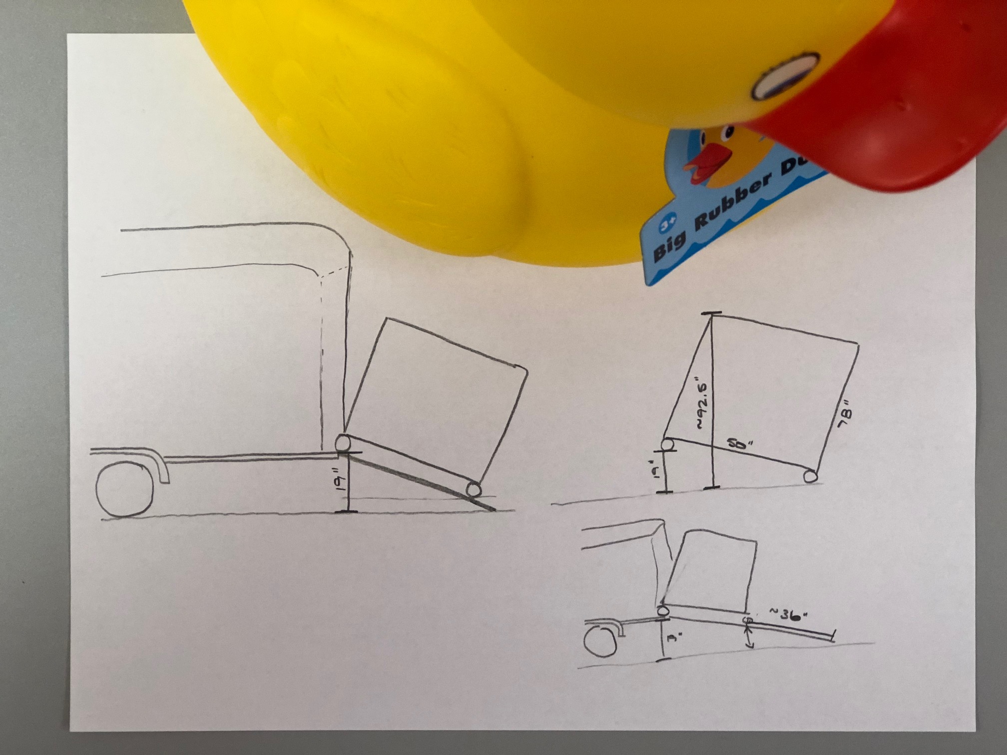 Door Height for a Duck.jpg