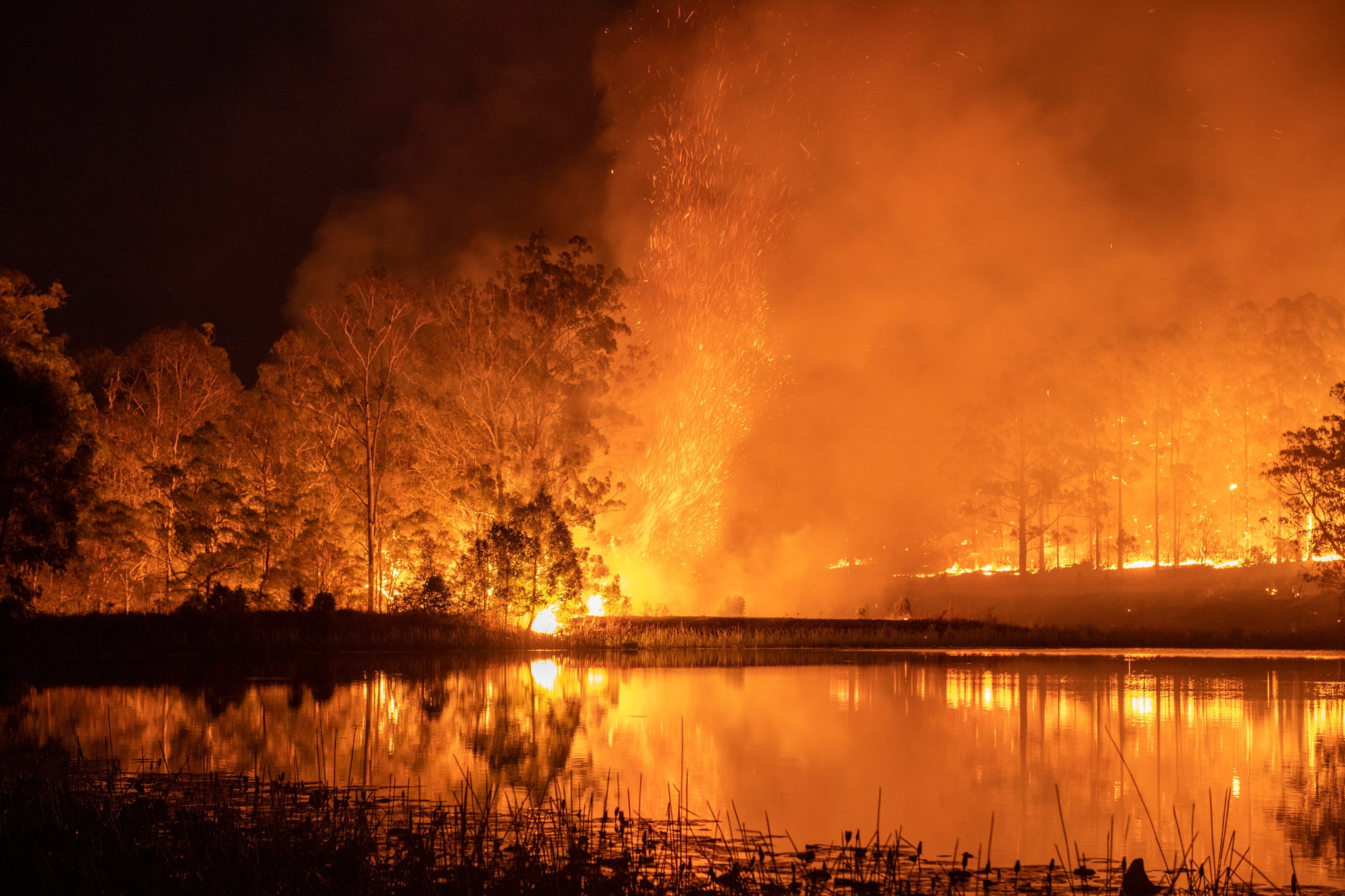 wildfire2.jpg