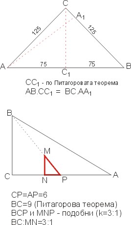 Graphic19.jpg