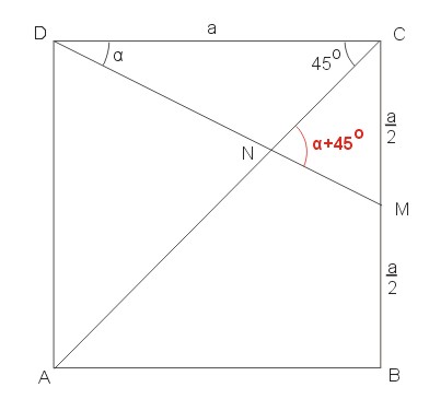 Graphic23.jpg