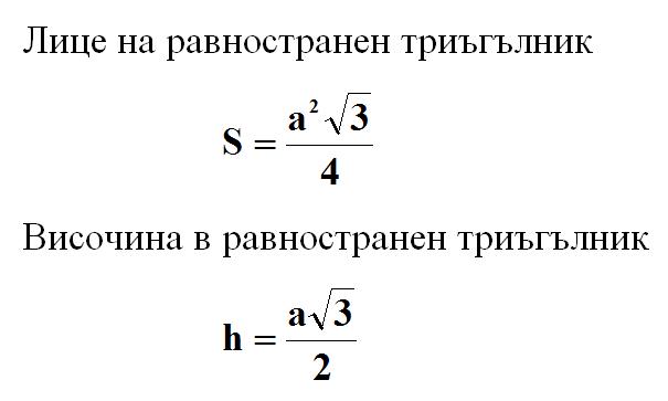 lice.jpg