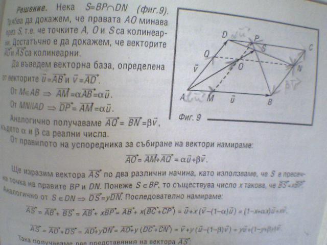 Vektori 1.jpg