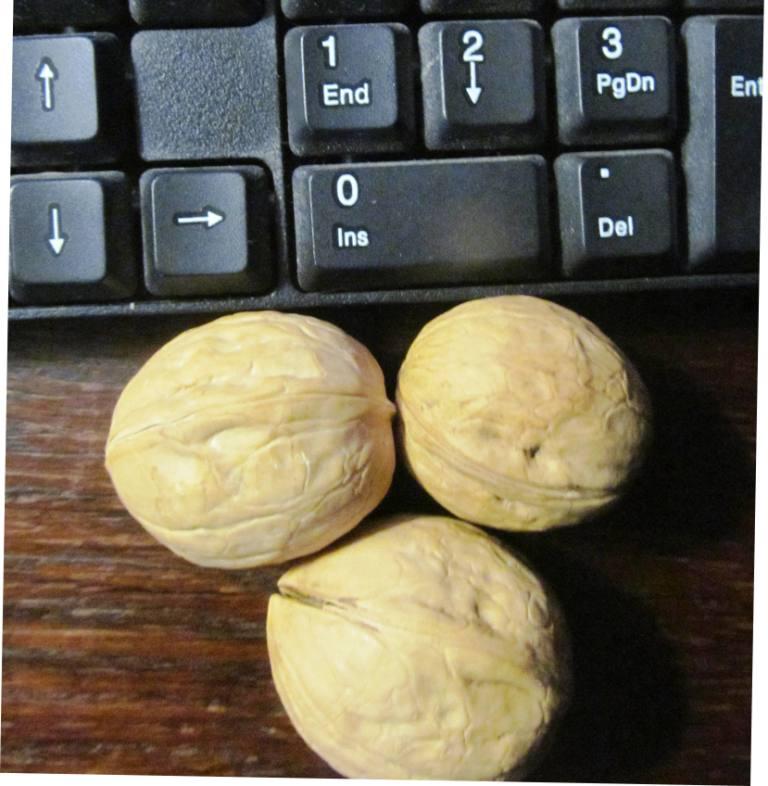 три ореха.jpg