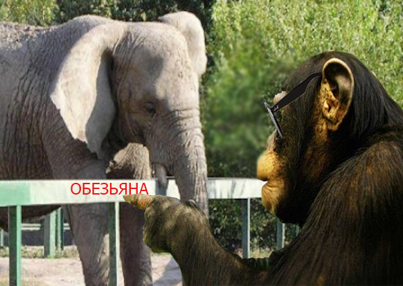 Обезьяна.jpg