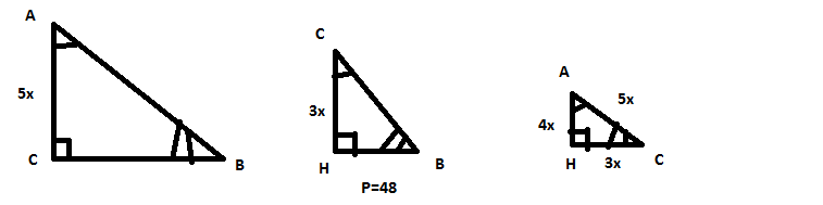 tr_2.png