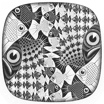 fish_and_scales.gif