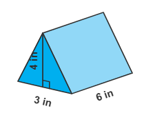What is the volume of the triangular prism?